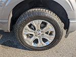 2023 Ford F-150 SuperCrew Cab 4WD Pickup for sale #PPFA61036 - photo 11