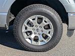 2023 Ford F-150 SuperCrew Cab 4WD Pickup for sale #PPKD59865 - photo 10