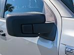 2023 Ford F-150 SuperCrew Cab RWD Pickup for sale #PPKD69814 - photo 10