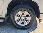 2024 Chevrolet Silverado 1500 Regular Cab RWD Pickup for sale #PRG394396 - photo 11