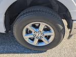 2024 Ford F-150 SuperCrew Cab 4WD Pickup for sale #PRKD82555 - photo 11