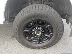 2024 Ford F-250 Crew Cab 4WD Pickup for sale #REC00369 - photo 11