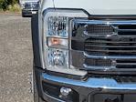 2024 Ford F-450 Crew Cab DRW 4x2, Cab Chassis for sale #REE53305 - photo 9