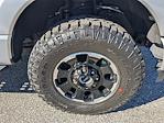 Used 2024 Ford F-250 Lariat Crew Cab for sale #REE54935 - photo 11