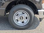 2024 Ford F-350 Regular Cab SRW 4x2 Pickup for sale #REF97834 - photo 23