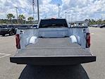 2024 Ford F-150 Regular Cab 4x2 Pickup for sale #RKE56190 - photo 18