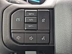 2025 Ford F-250 Regular Cab 4x4 Pickup for sale #SEC26280 - photo 10