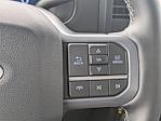 2025 Ford F-250 Crew Cab 4WD Pickup for sale #SED34830 - photo 31