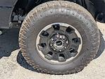 2025 Ford F-250 Crew Cab 4WD Pickup for sale #SED66555 - photo 11