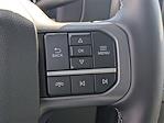 2025 Ford F-250 Crew Cab 4WD Pickup for sale #SED88816 - photo 24