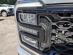 2025 Ford F-350 Crew Cab SRW 4WD Pickup for sale #SEE02897 - photo 10