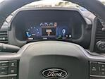 2025 Ford F-150 SuperCrew Cab 4WD Pickup for sale #SFA35973 - photo 34