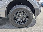 2025 Ford F-150 SuperCrew Cab 4x4 Pickup for sale #SFA53429 - photo 25