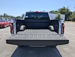 2025 Ford F-150 SuperCrew Cab 4x4 Pickup for sale #SFB04591 - photo 22