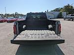2025 Ford F-150 Super Cab 4x2 Pickup for sale #SKD14197 - photo 17