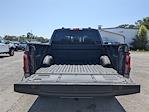 2025 Ford F-150 SuperCrew Cab 4x2 Pickup for sale #SKD29347 - photo 23