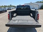 2025 Ford F-150 SuperCrew Cab 4x2 Pickup for sale #SKD31845 - photo 18
