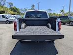 2025 Ford F-150 SuperCrew Cab 4x4 Pickup for sale #SKD41858 - photo 20
