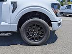 2025 Ford F-150 SuperCrew Cab 4x4 Pickup for sale #SKD41858 - photo 25