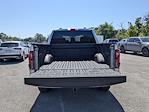 2025 Ford F-150 SuperCrew Cab 4x4 Pickup for sale #SKD44165 - photo 20