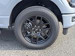 2025 Ford F-150 SuperCrew Cab 4x4 Pickup for sale #SKD53983 - photo 25