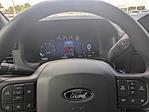 2025 Ford F-150 SuperCrew Cab 4WD Pickup for sale #SKE34100 - photo 30