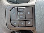 2025 Ford F-150 SuperCrew Cab 4x4 Pickup for sale #SKE39242 - photo 24