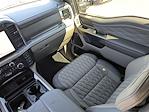 New 2026 Ford F-250 Platinum Crew Cab for sale #TEC83796 - photo 20