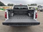 New 2026 Ford F-150 XLT SuperCrew Cab for sale #TKD04260 - photo 13