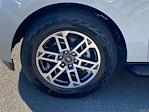 2025 Ford Expedition 4WD SUV for sale #EA75771 - photo 5
