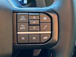 2025 Ford F-150 SuperCrew Cab 4WD Pickup for sale #EC44098A - photo 20
