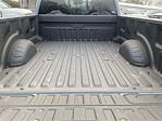 2025 Ford F-350 Crew Cab DRW 4WD Pickup for sale #ED33557 - photo 28