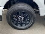 New 2026 Ford F-250 XLT Crew Cab for sale #ED42985 - photo 5