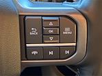 2023 Ford F-350 Crew Cab DRW 4WD Pickup for sale #ED51320A - photo 21