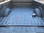 2023 Ford F-350 Crew Cab DRW 4WD Pickup for sale #ED51320A - photo 31