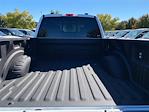 New 2025 Ford F-250 XLT Crew Cab 4WD Pickup for sale #ED84298 - photo 28