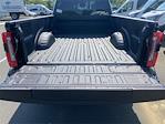New 2025 Ford F-350 Platinum Crew Cab 4WD SRW Pickup for sale #ED97391 - photo 28