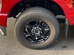 2024 Ford F-250 Crew Cab 4WD Pickup for sale #ED99072A - photo 6