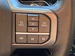 2024 Ford F-250 Crew Cab 4WD Pickup for sale #EE00690A - photo 19