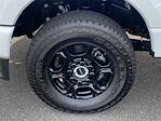 2025 Ford F-350 Regular Cab SRW 4WD Pickup for sale #EE09320 - photo 6