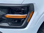 New 2025 Ford F-150 Tremor SuperCrew Cab 4WD Pickup for sale #FB01289 - photo 5