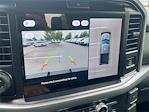 New 2025 Ford F-150 XLT SuperCrew Cab 4WD Pickup for sale #FB79160 - photo 20