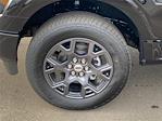 New 2026 Ford F-150 STX SuperCrew Cab for sale #KD13302 - photo 6