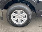New 2026 Ford F-150 XL Regular Cab for sale #KD29260 - photo 6