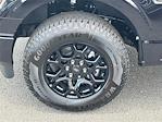 New 2025 Ford F-150 STX SuperCrew Cab 4WD Pickup for sale #KE53439 - photo 6
