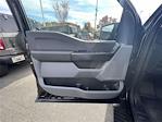 New 2025 Ford F-150 XL SuperCrew Cab 4WD Pickup for sale #KE59279 - photo 12