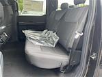 New 2025 Ford F-150 STX SuperCrew Cab Pickup for sale #KE79506 - photo 9