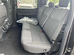 New 2025 Ford F-150 STX SuperCrew Cab Pickup for sale #KE79538 - photo 8