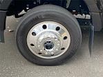 Used 2025 Ford F-450 Platinum Crew Cab for sale #PD38774 - photo 7
