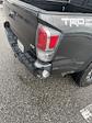 2020 Toyota Tacoma Double Cab RWD Pickup for sale #PR29743 - photo 20